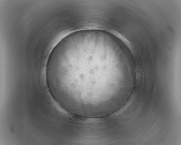 X0000114571423200911091206