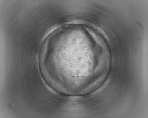 X0000114571425200911091206