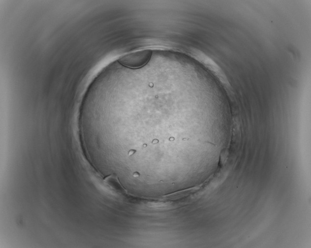 X0000114571427200911091206