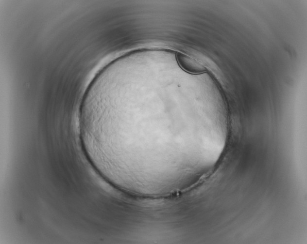 X0000114571428200911091206