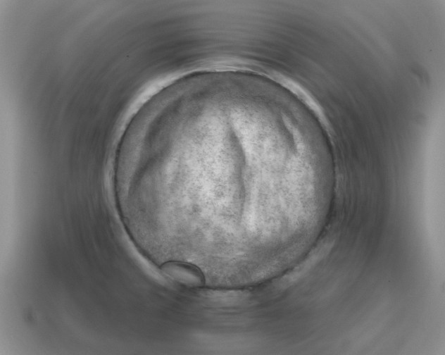 X0000114571429200911091206