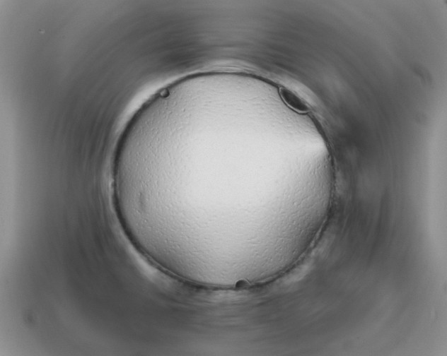 X0000114571430200911091206