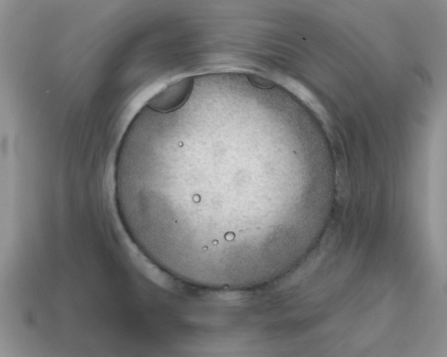 X0000114571431200911091206