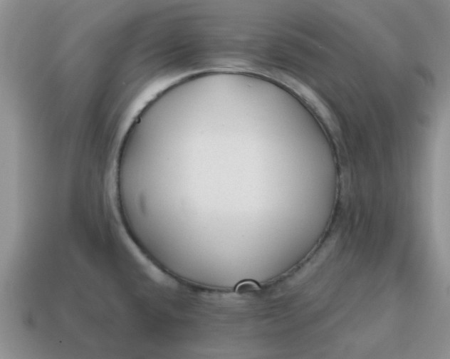 X0000114571432200911091206