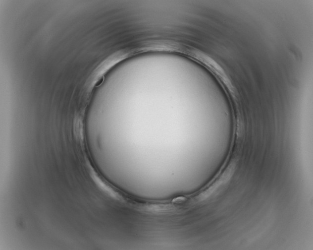 X0000114571433200911091206