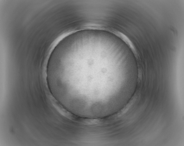 X0000114571435200911091206