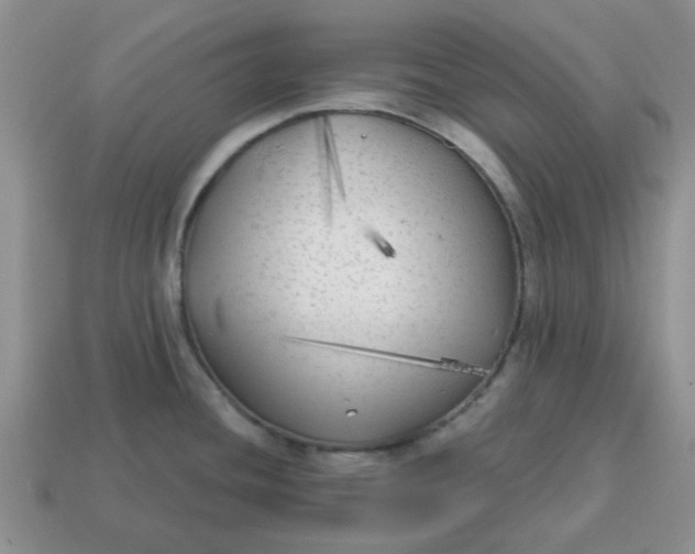 X0000114571436200911091206