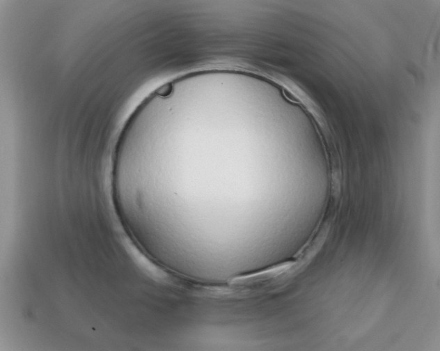 X0000114571438200911091206