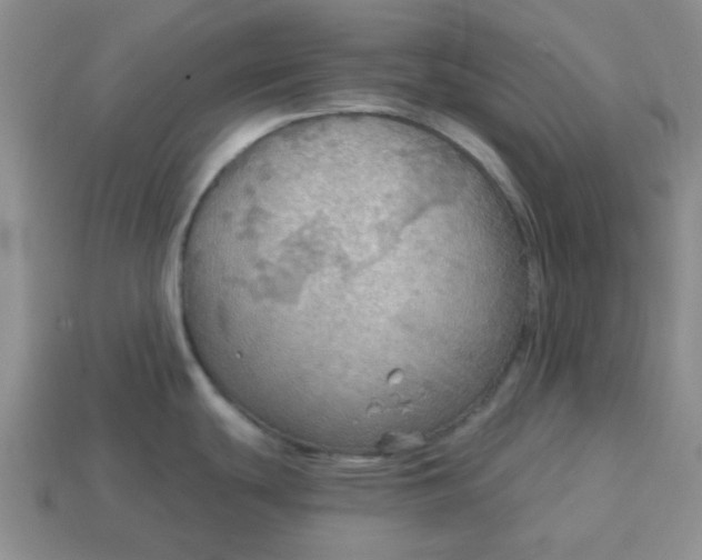 X0000114571439200911091206