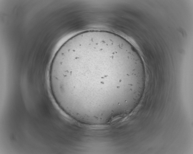 X0000114571440200911091206