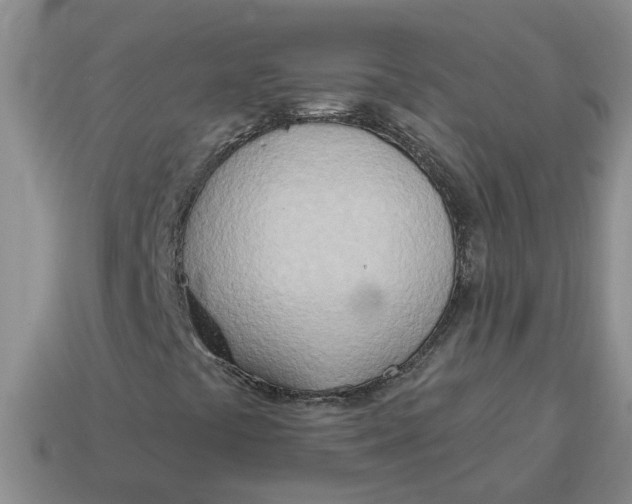 X0000114571441200911091206