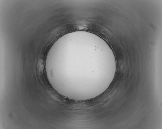 X0000114571442200911091206