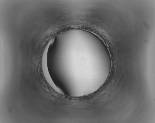 X0000114571445200911091206