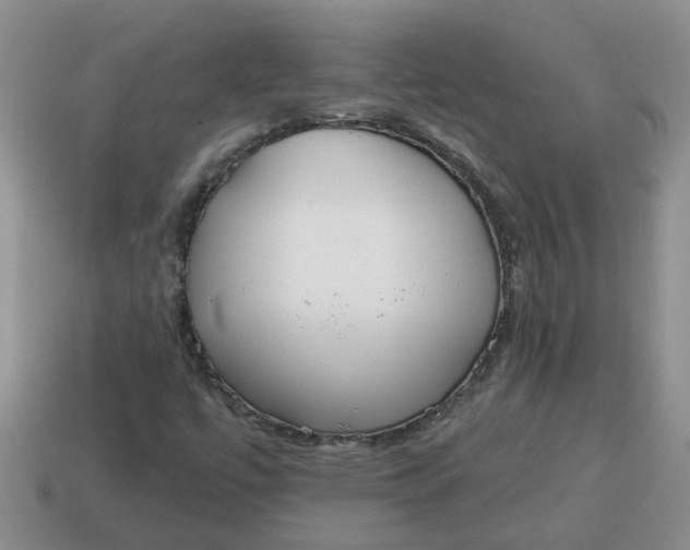 X0000114571447200911091206