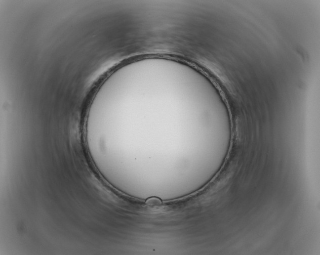 X0000114571452200911091206