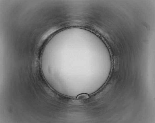 X0000114571453200911091206