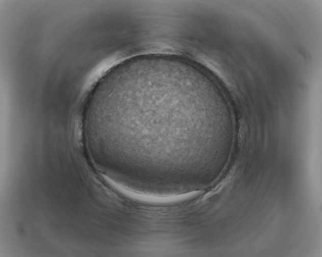 X0000114571455200911091205