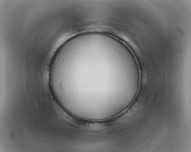 X0000114571459200911091205