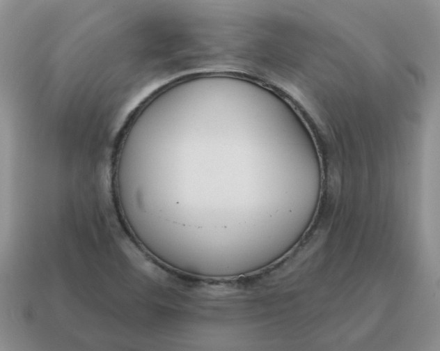 X0000114571460200911091205