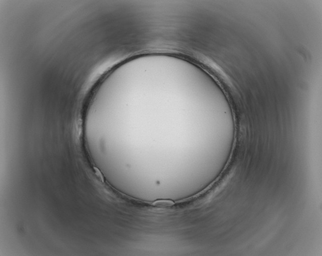 X0000114571461200911091205