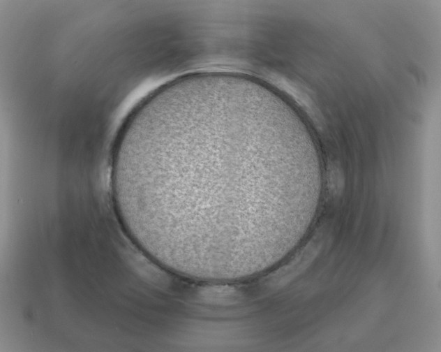 X0000114571462200911091205