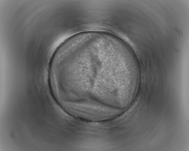 X0000114571463200911091205