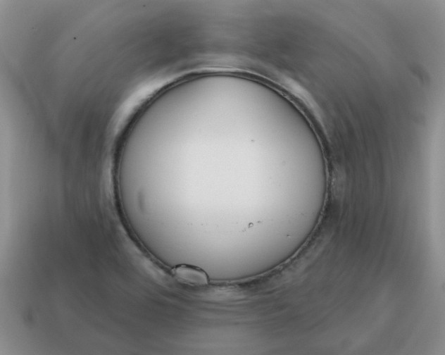 X0000114571464200911091205