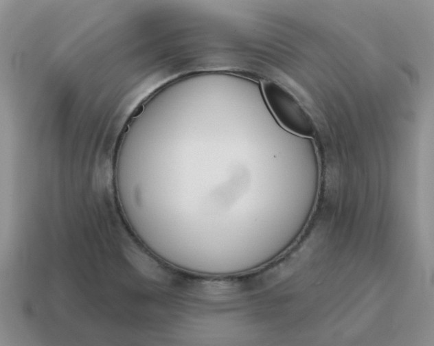 X0000114571465200911091205