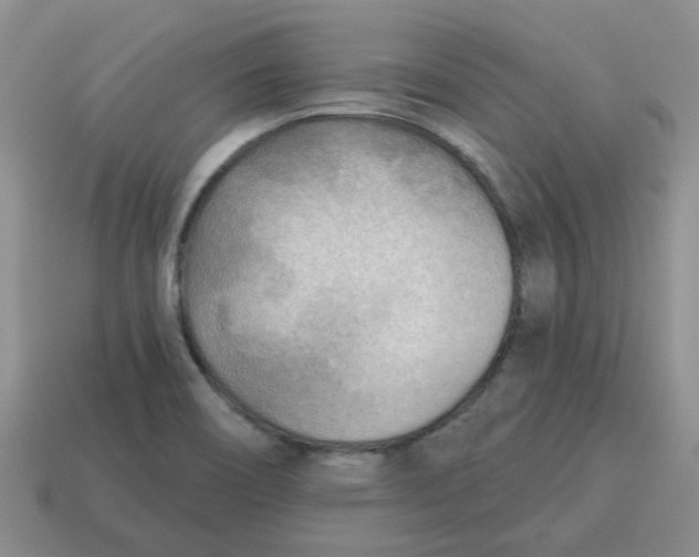 X0000114571466200911091205