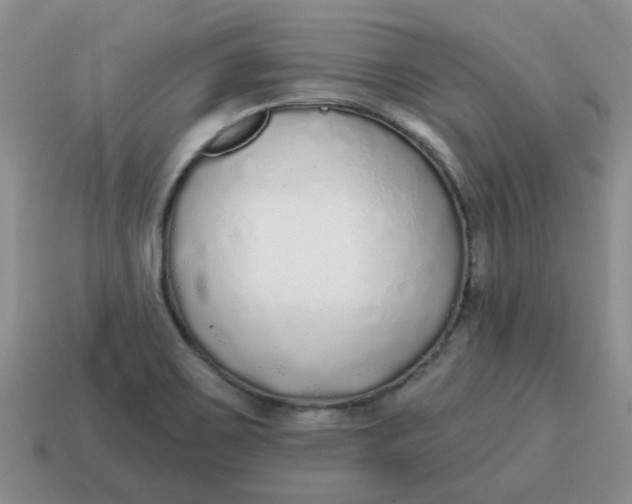 X0000114571467200911091205