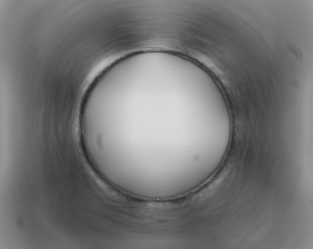 X0000114571469200911091205