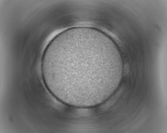 X0000114571470200911091205