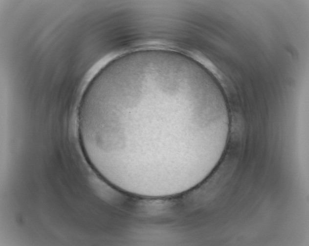 X0000114571474200911091205