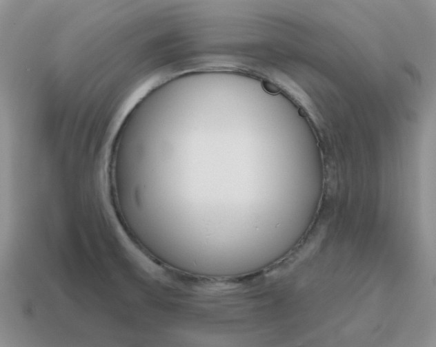 X0000114571475200911091205