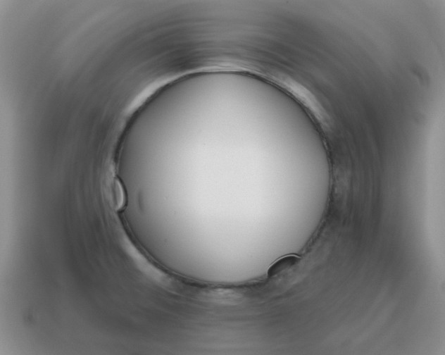 X0000114571476200911091205