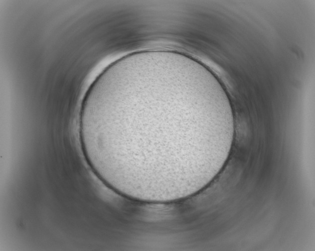 X0000114571478200911091205