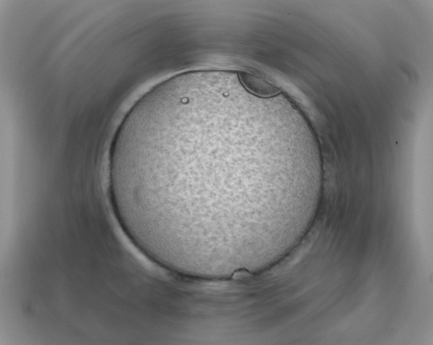 X0000114571479200911091205