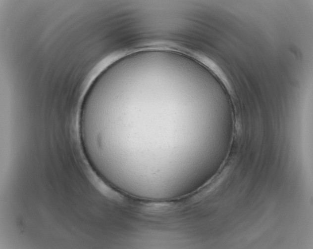 X0000114571482200911091205