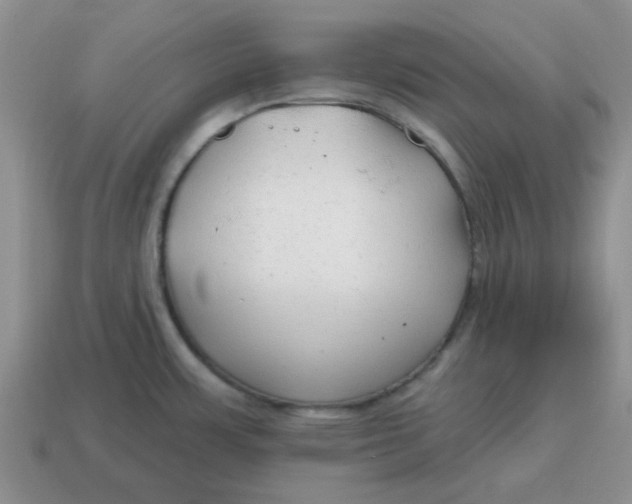 X0000114571483200911091205