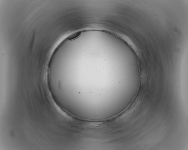 X0000114571484200911091205