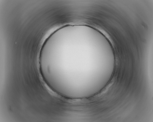 X0000114571485200911091205