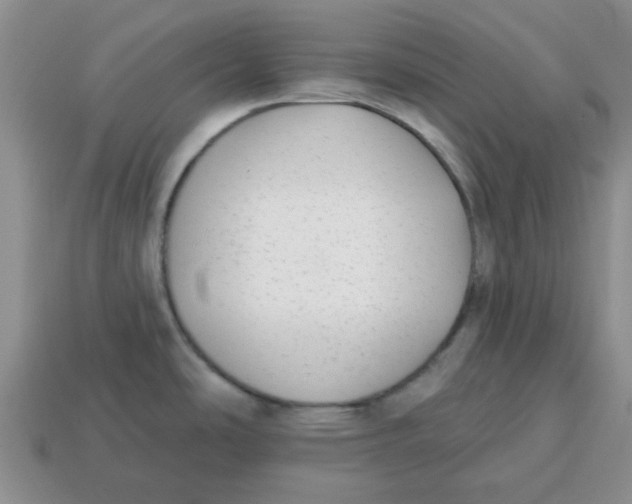 X0000114571486200911091205