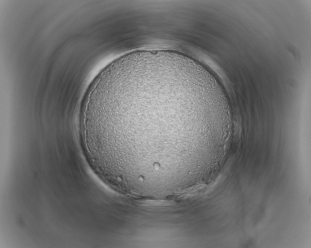 X0000114571487200911091205