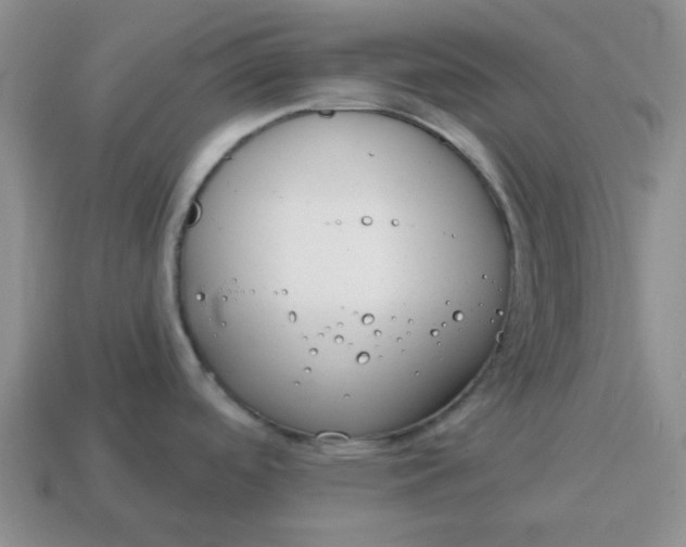 X0000114571488200911091205