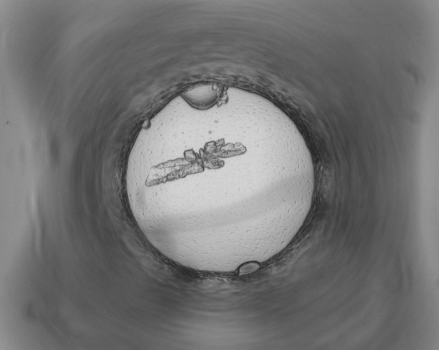 X0000114571489200911091204