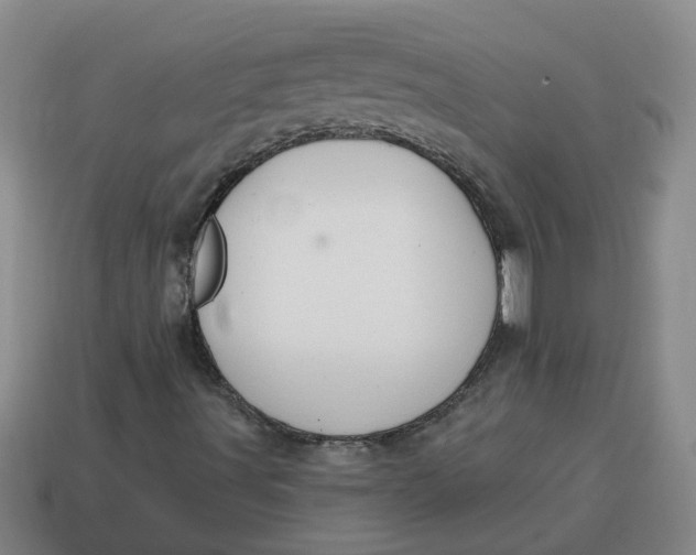 X0000114571491200911091204