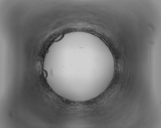 X0000114571493200911091205