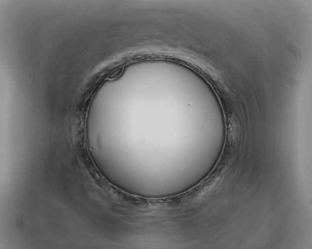 X0000114571494200911091205