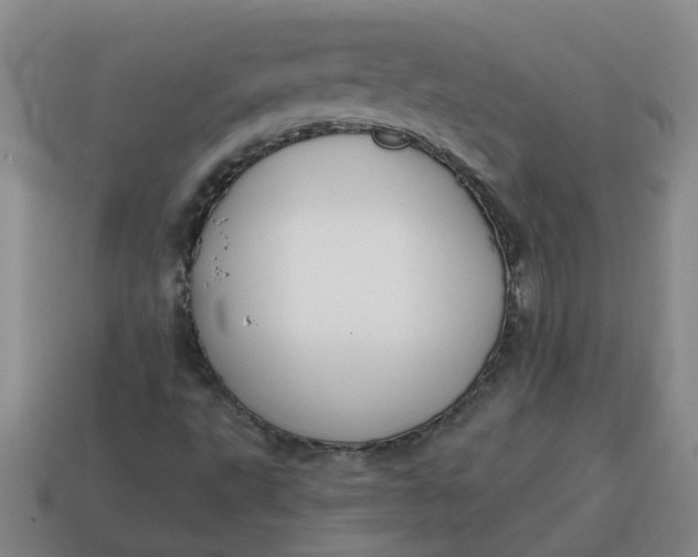 X0000114571495200911091205