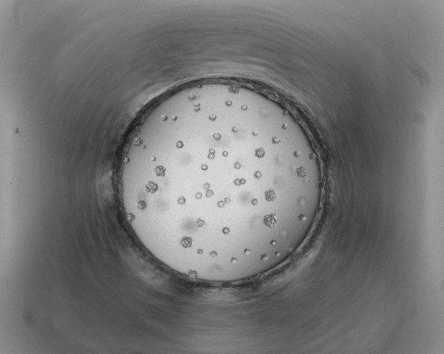 X0000114571497200911091205